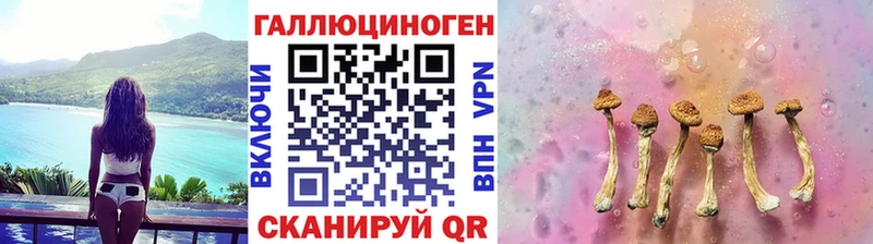 Псилоцибиновые грибы Cubensis  цена наркотик  Каргополь 