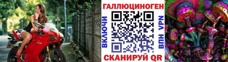 Псилоцибиновые грибы Cubensis Каргополь